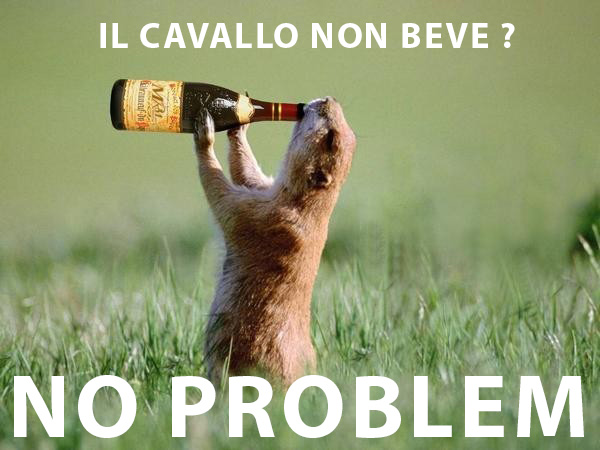 il cavallo non beve